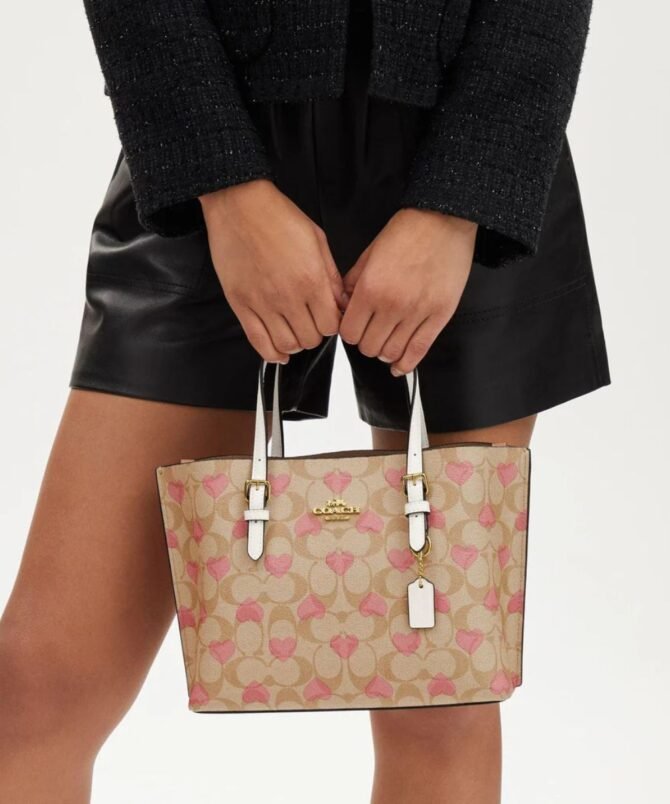 COACH - Image 3