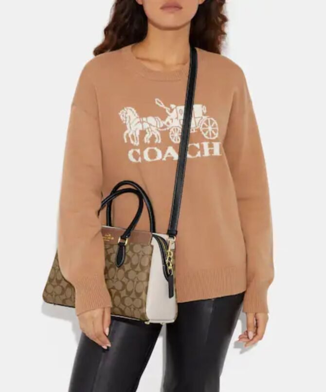 COACH - Image 3